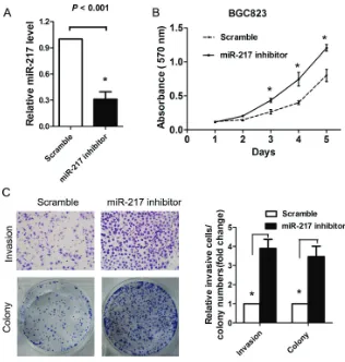 Figure 2: Ectopic miR-217 expression inhibits gastric cancer cell growth, colony formation and invasion in vitro
