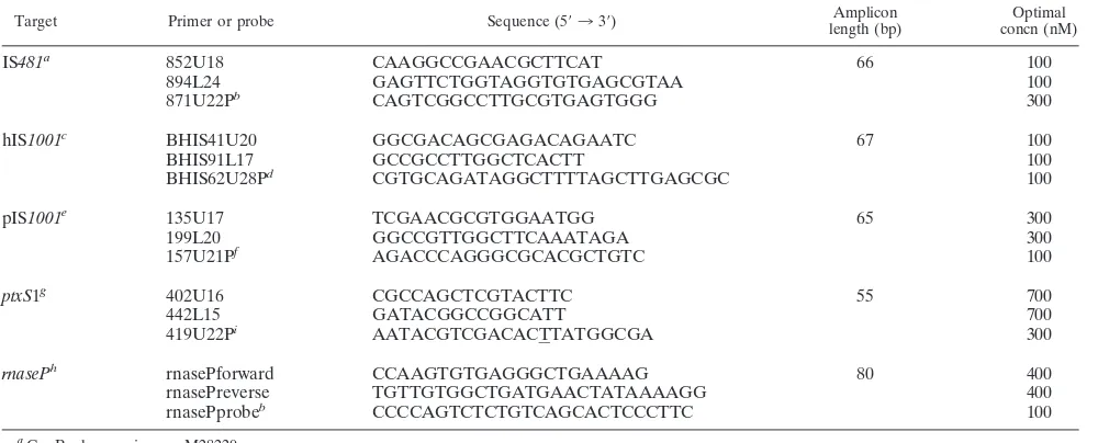 TABLE 1. Sequences and optimal concentrations of primers and probes used in the real-time PCR assays