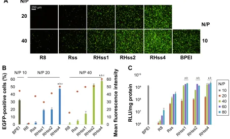 Figure 7 reporter gene transfection assay in heK293T cells.Notes: (A) Fluorescence microscopic observation of egFP expression after incubation with different polyplexes