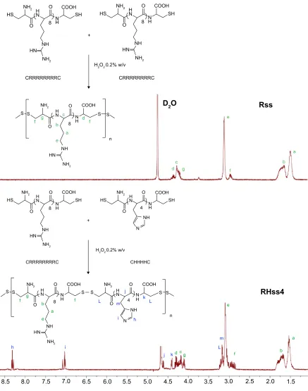 Figure 2 Synthesis of the disulfide cross-linked polypeptide and the 1h-NMr spectra of rss and rhss4 polypeptides.Notes: r: arginine, h: histidine, c: cysteine.Abbreviations: 1h-NMr, proton nuclear magnetic resonance; rhss, reducible chimeric polypeptide containing two functional peptides: octa-d-arginine and tetra-l-histidine peptides; rss, single cross-linked r8 peptide.