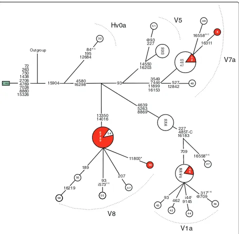 Figure 1 Phylogenetic network of mtDNA haplogroup V in patients with diabetes and controls