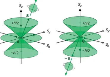 Figure 2.1: Possible positions for a spin vector measured along the ݖ direction [6].