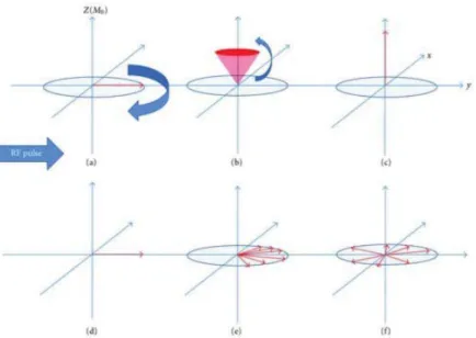 Figure 2.3: ܶ ଵ and ܶ ଶ relaxation proceeding in (a-c) and (d-f) respectively [8].
