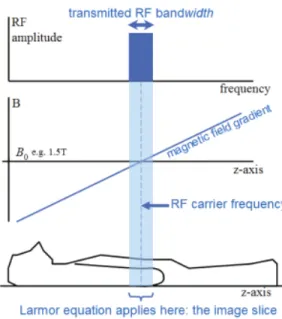 Figure 2.5: Selection of transverse slice along ݖ direction [11].