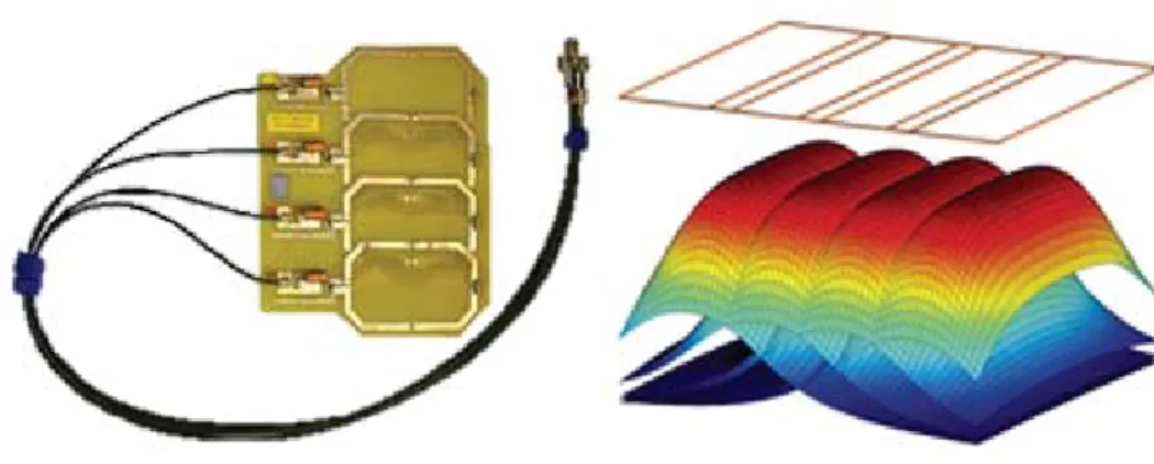 Figure 3.1: Phased-array coil with four elements (left) and its sensitivity map (right) [12].
