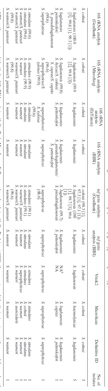 TABLE 4. Identiﬁcation of 16 other coagulase-negative staphylococci by genotypic and phenotypic methodsa