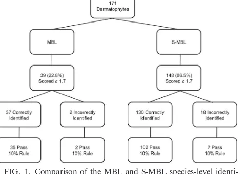 TABLE 2. Combined results for archived and fresh isolates: comparison of MBL and S-MBLusing manufacturer-recommended and decreased score criteria