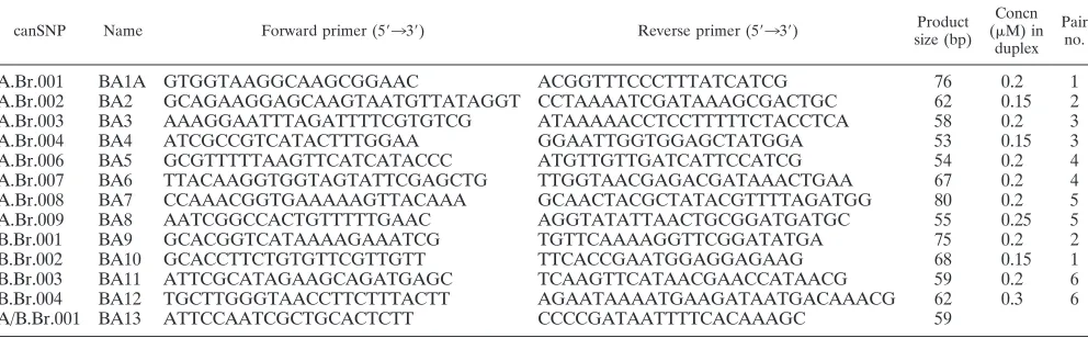 TABLE 1. Primer sequences