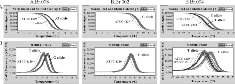TABLE 2. Melting temperatures and SNP alleles determined for six reference strains using HRM