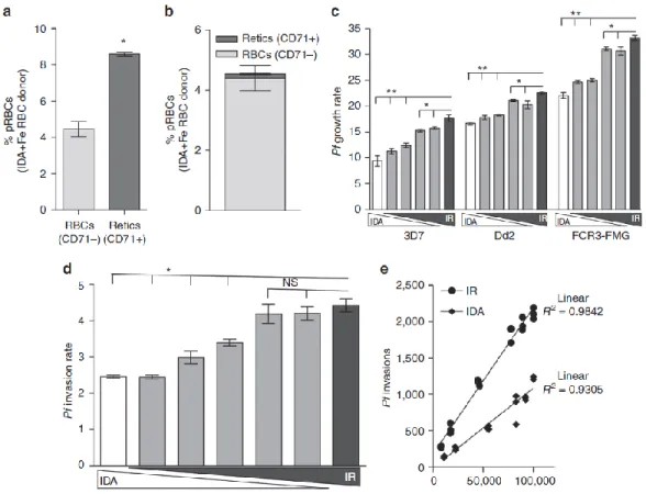 Figure 2.3. Replacement of iron deficient RBCs with iron-replete RBCs increases P.falciparum  infection