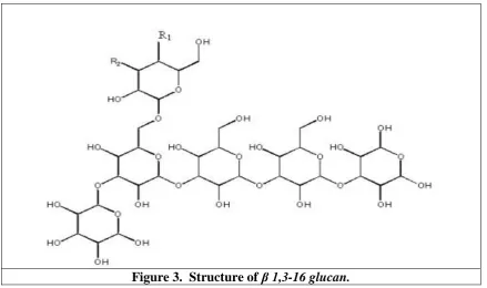 Figure 3.  Structure of β 1,3-16 glucan. 