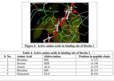 Table 4. Active amino acids in binding site of Dectin 1 Abbreviation HIS 