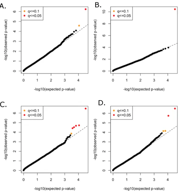 Figure 4 Rare variant quantile–quantile plots. Quantile–quantile plots are shown for (A) TC (B) LDL (C) HDL (D) TG