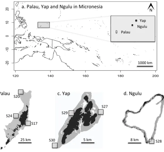 Figure 2 Maps of sampling locations: (A) overview of location of Yap, Ngulu and Palau in Micronesia;