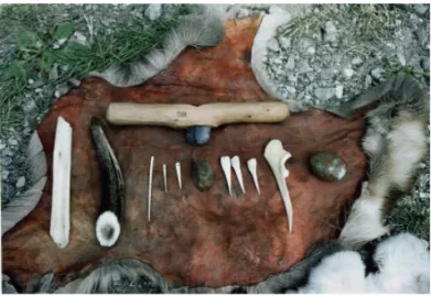 Figure 1  Experimental hide working tool kit, including implements  made of different raw materials (Photo Laboratory for Artefact  Studies, Leiden).