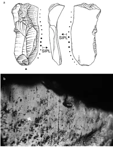Figure 3  a) Fragment of a piece of a net made in ‘knotless netting’ 
