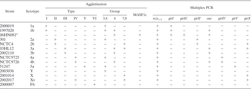 TABLE 1. Serotype characteristics of S. ﬂexneri reference strains by agglutination and multiplex PCR