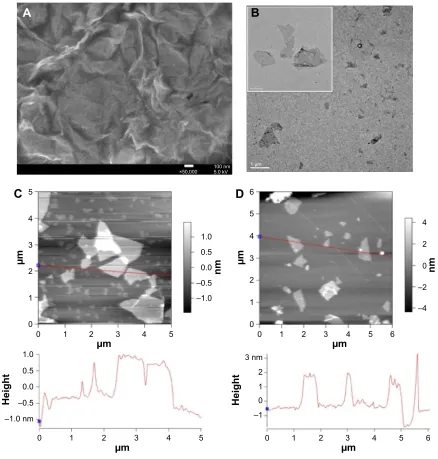 Figure 2 Microscopic morphology investigations of Pssg.Notes: (A) seM image of the undulating surface of Pssg