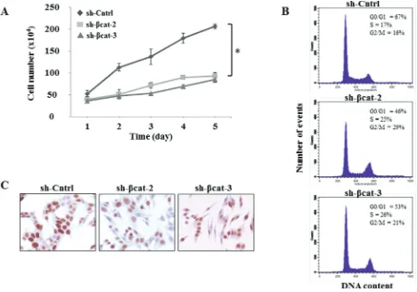 Figure 2: Characterization of in vitroin triplicate, and counted 1, 2, 3, 4 and 5 days later by trypan blue exclusion *P<0.01