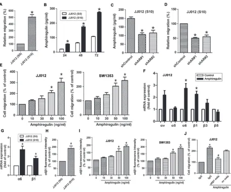 Figure 1: The expression level of AR is involved in cell migration and up-regulation of α6β1 integrin