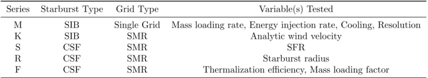 Table 2.5: Series of simulations run with basic information on each series.