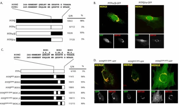 Figure 2.3: C-terminal PITPβ localization elements necessary for TGN association. 