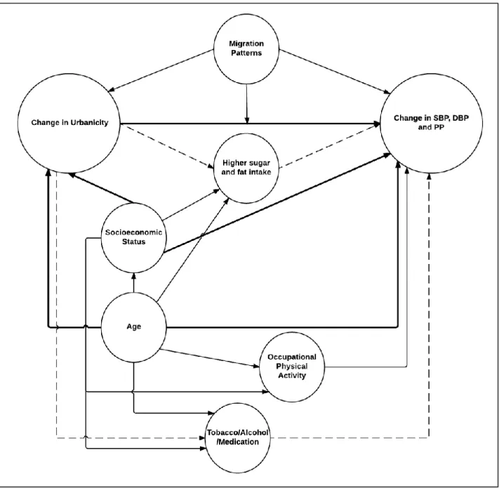 FIGURE 1. Directed Acyclic Graph* of the Relationship between change in UI† and change in BP and PP‡ 
