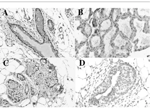 Figure 4unpublished observation) in which Id-2 gene expressionhas been demonstrated by in situ hybridization [13]