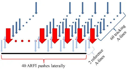 Figure 3.2: ARFI beam sequence acquired in 40 lateral locations spanning a 2.1 cm lateral field of  view