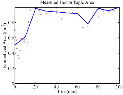 Figure  3.5:  First  algorithm  for  the  measurement  of  the  rate  of  hemorrhage  in  a  representative  normal dog