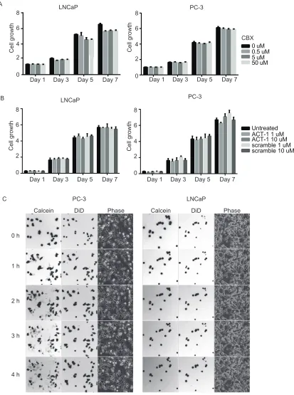 Figure 2: Gap-junction-mediated intercellular communication is not required for growth of prostate cancer cells