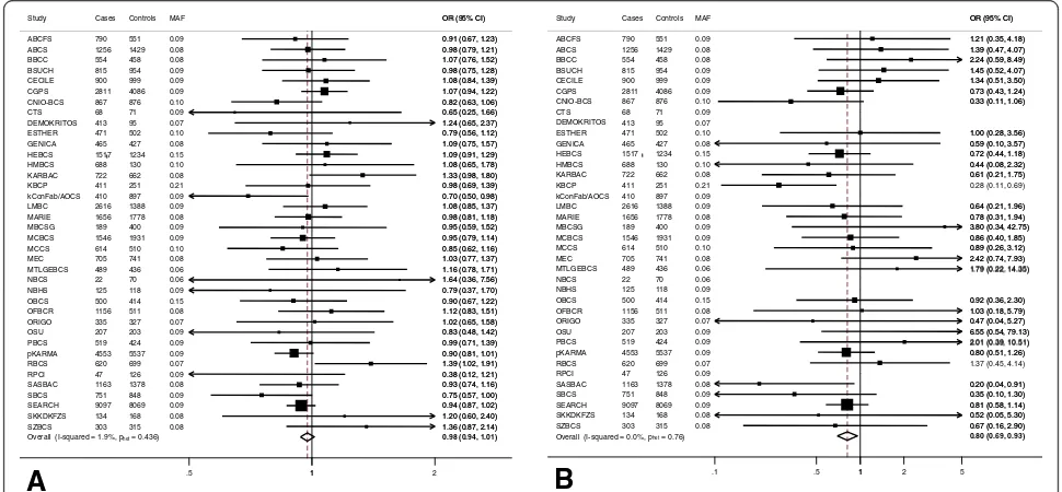 Figure 1 Association of rs10235235 with breast cancer risk for women of European ancestry.confidence intervals (CIs); square boxes, study-specific fixed-effects estimates; diamond, combined, fixed-effects estimate of the odds ratio (OR) and Forest plots of