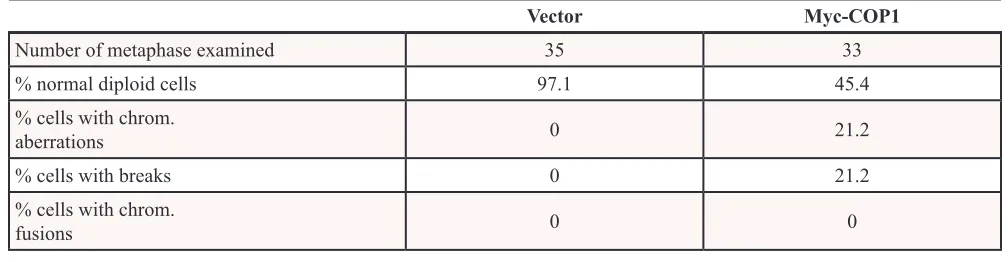 Table 1: COP1 expression leads to chromosome instability