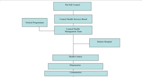 Figure 1 The structure of district health system in Tanzania