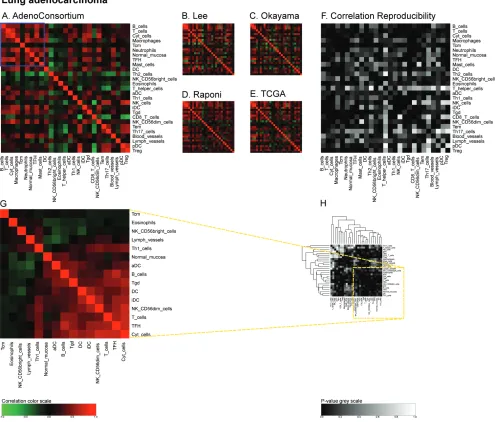 Figure 5: Immune metagene correlations (A-e) and correlation reproducibility pHeatmap representation of metagene correlation matrices, in the 5 datasets of melanoma transcriptome (blue rectangle corresponds to reproducible metagenes of Figure 1)