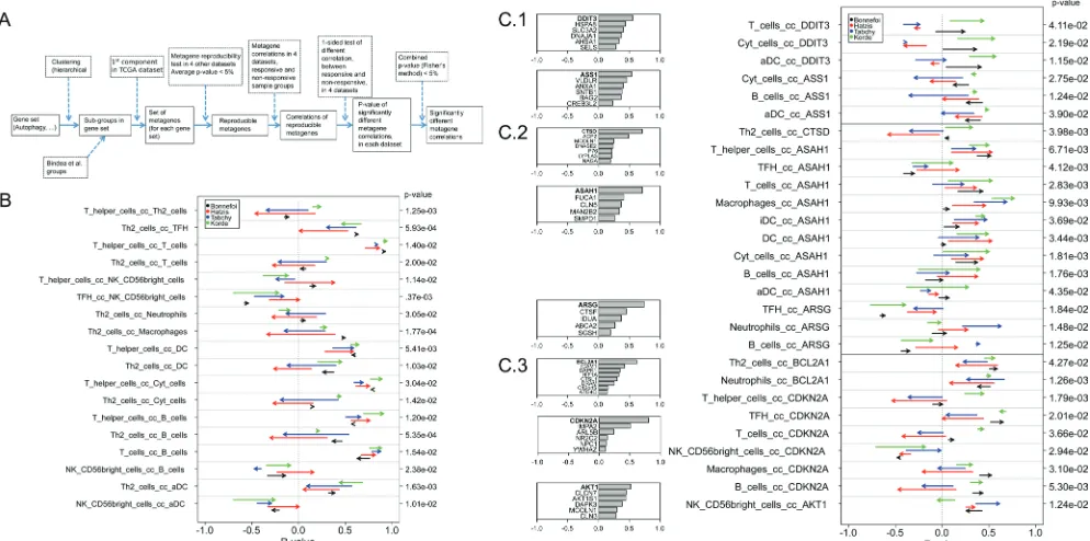Figure 6: Global pattern of reproducible correlations and correlation reproducibility, for immune metagene correlations