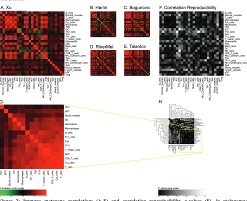 Figure 2: Immune metagene correlations (A-e) and correlation reproducibility p-values (F), in melanoma; reproducible correlations of first dataset (G), identified by hierarchical clustering of reproducibility p-values (H)