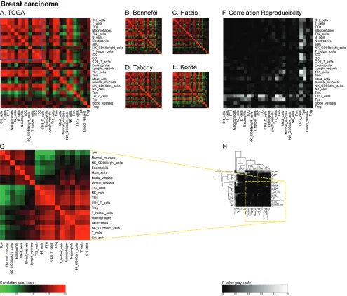 Figure 4: Immune metagene correlations (A-e) and correlation reproducibility p-values (F), in breast cancer; reproducible correlations of first dataset (G), identified by hierarchical clustering of reproducibility p-values (H)