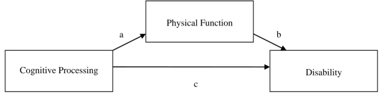 Figure 2.1: Conceptual Models 