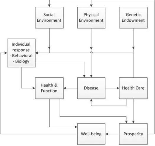Figure 2.1. Health field model. 