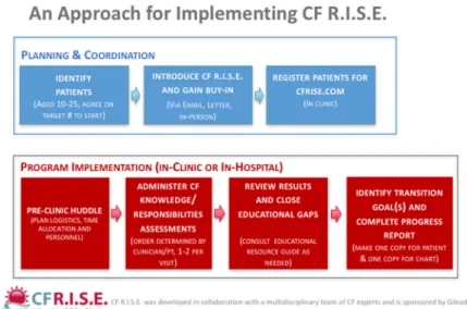 FIGURE 1 A suggested approach for the implementation of CF R.I.S.E