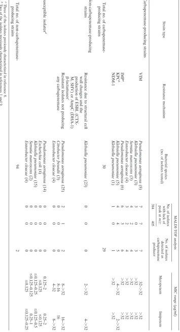 TABLE 1. Summary of the meropenem hydrolysis assay data
