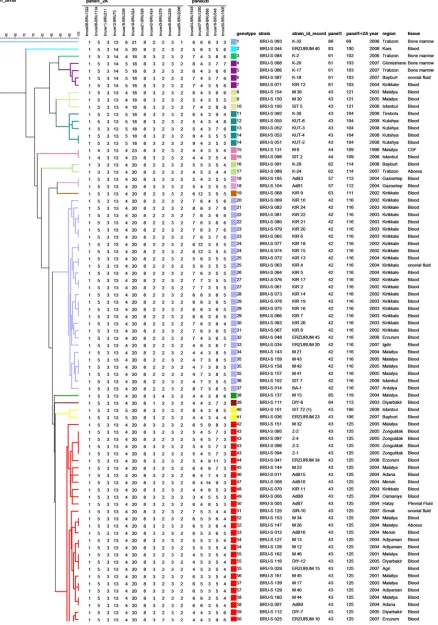 FIG. 3. Cluster analysis for 162 human isolates of Brucellacolor code reﬂects the MLVA-11to each isolate in the database for each set of loci; isolation date (year), geographic region, and the specimen source