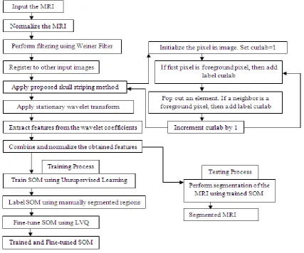 Fig. 1 Flowchart of Segmentation and Proposed Skull Stripping Algorithm