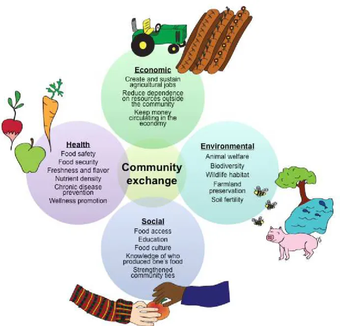 Figure 2.1. Potential impacts of localized food systems 