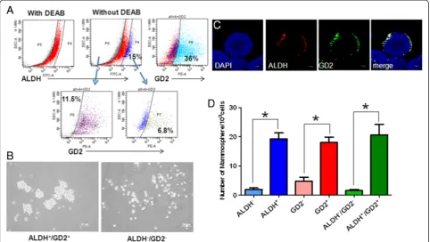 Table 2 Engraftment capacity of different cell populations sorted from cryopreserved tumor cells