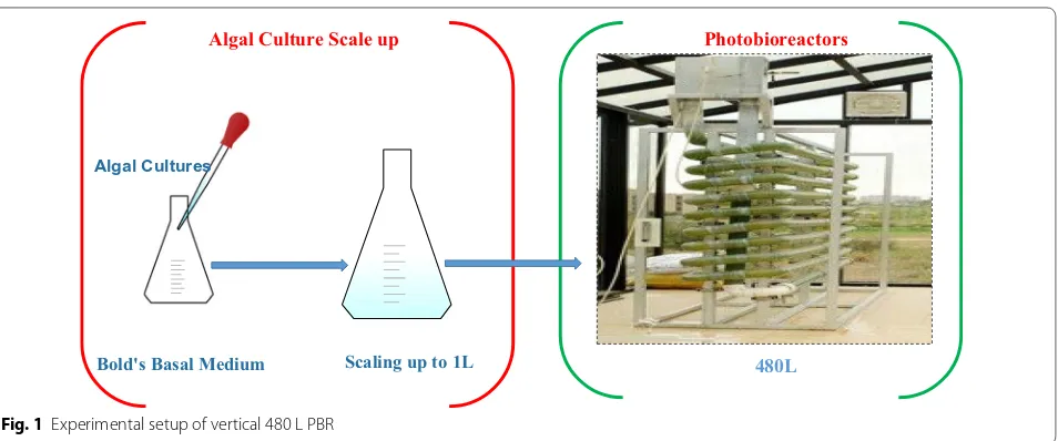 Fig. 1 Experimental setup of vertical 480 L PBR