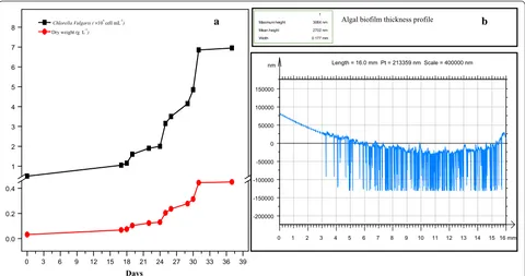 Fig. 2 a Cell count and dry weight of algae. b Analysis of algal biofilm thickness