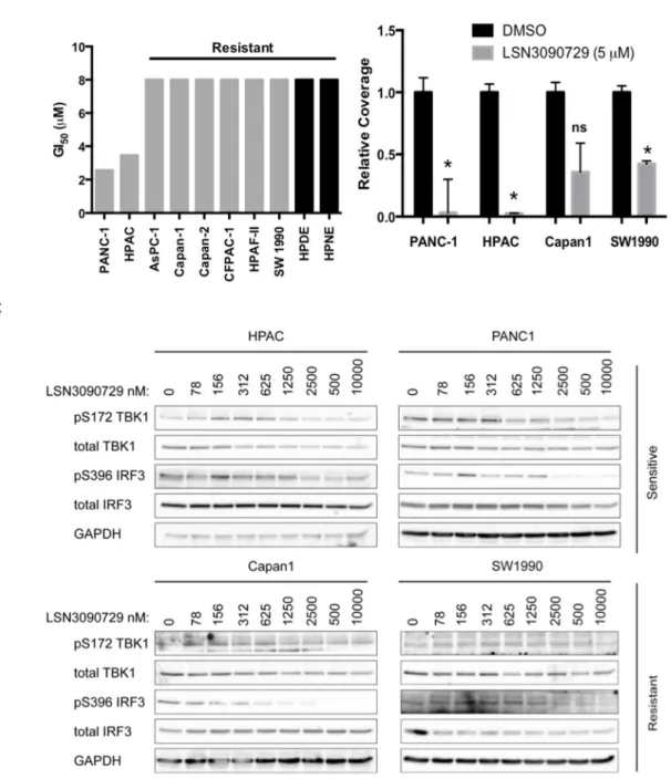 Figure  3.3:  KRAS-mutant  PDAC  cell  lines  are  differentially  sensitive  to  LSN3090279  treatment in a manner dependend on the growth endpoint