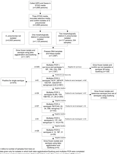 FIG. 1. Algorithm to serotype Streptococcus pneumoniae isolates from nasopharyngeal samples obtained in Alaska in 2009.
